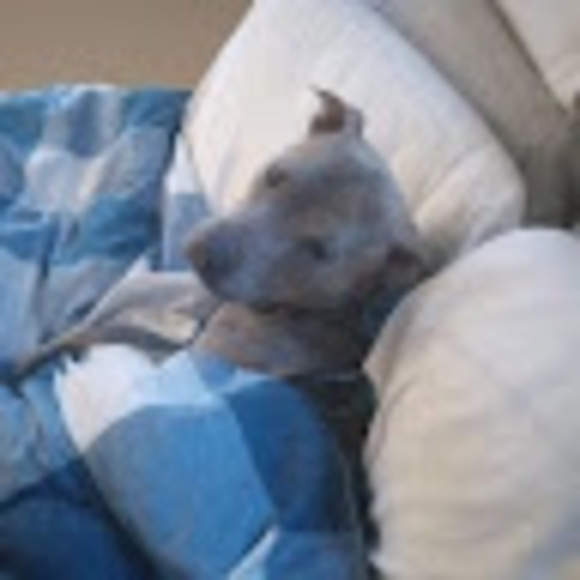 Meet your Posher, Michael - Picture 1 of 1